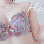 ヒメ日記 2025/06/29 21:03 投稿 はる【圧倒的人気No1】 仙台大人の秘密倶楽部