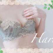 ヒメ日記 2025/07/02 21:03 投稿 はる【圧倒的人気No1】 仙台大人の秘密倶楽部