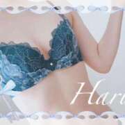 ヒメ日記 2025/07/08 21:03 投稿 はる【圧倒的人気No1】 仙台大人の秘密倶楽部