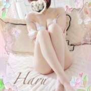 ヒメ日記 2025/07/09 10:18 投稿 はる【圧倒的人気No1】 仙台大人の秘密倶楽部