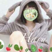 ヒメ日記 2025/07/10 10:09 投稿 はる【圧倒的人気No1】 仙台大人の秘密倶楽部