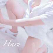 ヒメ日記 2025/07/19 10:15 投稿 はる【圧倒的人気No1】 仙台大人の秘密倶楽部