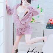 ヒメ日記 2025/07/22 10:09 投稿 はる【圧倒的人気No1】 仙台大人の秘密倶楽部