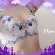 ヒメ日記 2025/08/06 21:18 投稿 はる【圧倒的人気No1】 仙台大人の秘密倶楽部