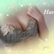 ヒメ日記 2025/08/14 21:03 投稿 はる【圧倒的人気No1】 仙台大人の秘密倶楽部