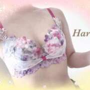 ヒメ日記 2025/09/02 16:06 投稿 はる【圧倒的人気No1】 仙台大人の秘密倶楽部