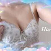 ヒメ日記 2025/09/03 21:03 投稿 はる【圧倒的人気No1】 仙台大人の秘密倶楽部