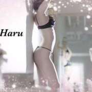 ヒメ日記 2025/09/29 10:15 投稿 はる【圧倒的人気No1】 仙台大人の秘密倶楽部