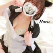 ヒメ日記 2025/10/10 10:09 投稿 はる【圧倒的人気No1】 仙台大人の秘密倶楽部