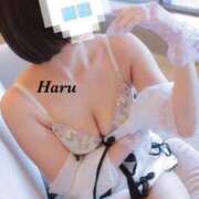 ヒメ日記 2025/10/11 10:06 投稿 はる【圧倒的人気No1】 仙台大人の秘密倶楽部