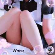 ヒメ日記 2025/10/15 10:03 投稿 はる【圧倒的人気No1】 仙台大人の秘密倶楽部