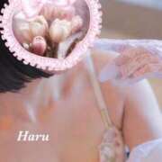 ヒメ日記 2025/10/27 10:03 投稿 はる【圧倒的人気No1】 仙台大人の秘密倶楽部