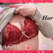 ヒメ日記 2025/10/31 21:03 投稿 はる【圧倒的人気No1】 仙台大人の秘密倶楽部