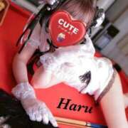 ヒメ日記 2025/11/04 10:03 投稿 はる【圧倒的人気No1】 仙台大人の秘密倶楽部