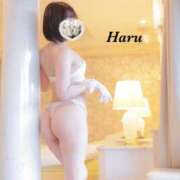 ヒメ日記 2025/11/11 10:03 投稿 はる【圧倒的人気No1】 仙台大人の秘密倶楽部