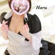 ヒメ日記 2025/11/12 10:03 投稿 はる【圧倒的人気No1】 仙台大人の秘密倶楽部