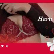 ヒメ日記 2025/11/13 17:12 投稿 はる【圧倒的人気No1】 仙台大人の秘密倶楽部