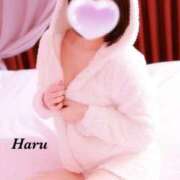 ヒメ日記 2025/11/26 10:03 投稿 はる【圧倒的人気No1】 仙台大人の秘密倶楽部