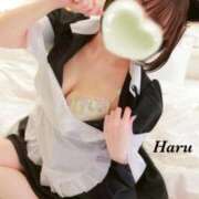 ヒメ日記 2025/11/27 10:03 投稿 はる【圧倒的人気No1】 仙台大人の秘密倶楽部