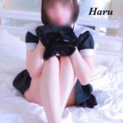 ヒメ日記 2025/11/29 10:03 投稿 はる【圧倒的人気No1】 仙台大人の秘密倶楽部