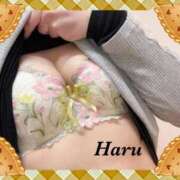 ヒメ日記 2025/11/30 21:12 投稿 はる【圧倒的人気No1】 仙台大人の秘密倶楽部