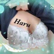 ヒメ日記 2025/12/04 21:03 投稿 はる【圧倒的人気No1】 仙台大人の秘密倶楽部