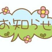 ヒメ日記 2025/08/25 14:52 投稿 みどり ダック京都