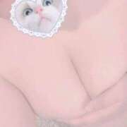 ヒメ日記 2025/10/31 07:31 投稿 みどり ダック京都