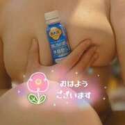 ヒメ日記 2026/03/19 14:05 投稿 みどり ダック京都