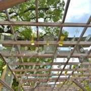 ヒメ日記 2025/08/10 15:34 投稿 みわ AVANCE福岡