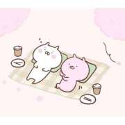 ヒメ日記 2025/09/27 05:58 投稿 みわ AVANCE福岡