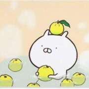 ヒメ日記 2026/02/25 05:59 投稿 みわ AVANCE福岡