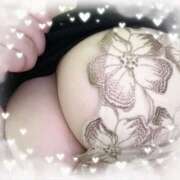 ヒメ日記 2025/04/11 17:45 投稿 ゆか 栃木宇都宮ちゃんこ