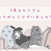 ヒメ日記 2025/05/01 00:55 投稿 ゆか 栃木宇都宮ちゃんこ