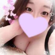 ヒメ日記 2025/05/25 12:15 投稿 ゆか 栃木宇都宮ちゃんこ