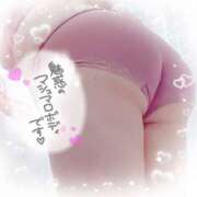 ヒメ日記 2025/06/19 15:35 投稿 ゆか 栃木宇都宮ちゃんこ