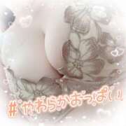 ヒメ日記 2025/06/24 16:25 投稿 ゆか 栃木宇都宮ちゃんこ