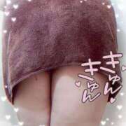 ヒメ日記 2025/10/28 12:07 投稿 ゆか 栃木宇都宮ちゃんこ