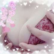 ヒメ日記 2025/11/12 16:45 投稿 ゆか 栃木宇都宮ちゃんこ