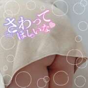 ヒメ日記 2025/11/14 12:06 投稿 ゆか 栃木宇都宮ちゃんこ