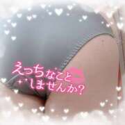 ヒメ日記 2025/11/15 12:05 投稿 ゆか 栃木宇都宮ちゃんこ