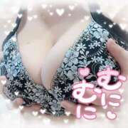 ヒメ日記 2025/11/17 12:05 投稿 ゆか 栃木宇都宮ちゃんこ