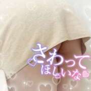 ヒメ日記 2025/12/09 10:05 投稿 ゆか 栃木宇都宮ちゃんこ