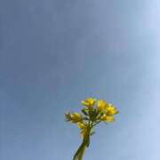 ヒメ日記 2025/02/25 08:16 投稿 なお 熟女の風俗アウトレット大垣安八羽島店