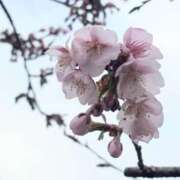 なお もうすぐ出勤日だよ 熟女の風俗アウトレット大垣安八羽島店