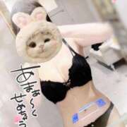 ヒメ日記 2025/02/10 17:05 投稿 ろあ ぷるるんギャング