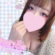 ヒメ日記 2025/07/29 09:35 投稿 ろあ ぷるるんギャング