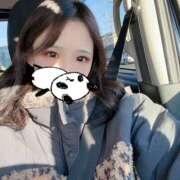 ヒメ日記 2025/02/09 16:05 投稿 山下ひかる DEEPS成田店