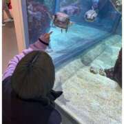 ヒメ日記 2025/04/26 11:59 投稿 みそか ばつぐん素人プロダクション