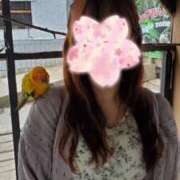 ヒメ日記 2025/03/21 17:12 投稿 園田みのり お姉さんCLUB